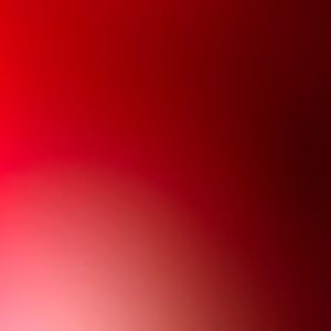 Meet your Posher, Damon